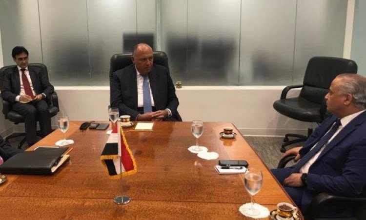 Sudan and Egypt call for Security Council meeting dialogue over GERD