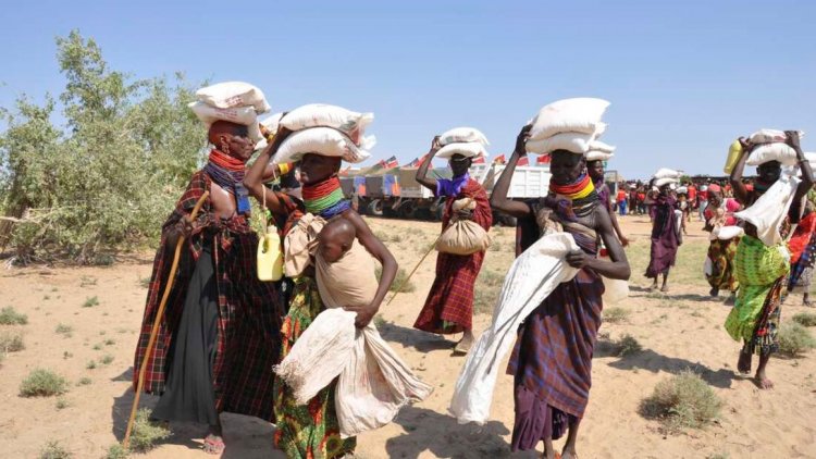 The effects of COVID-19 worsened by drought, resulting in 1.4 million Kenyans facing hunger
