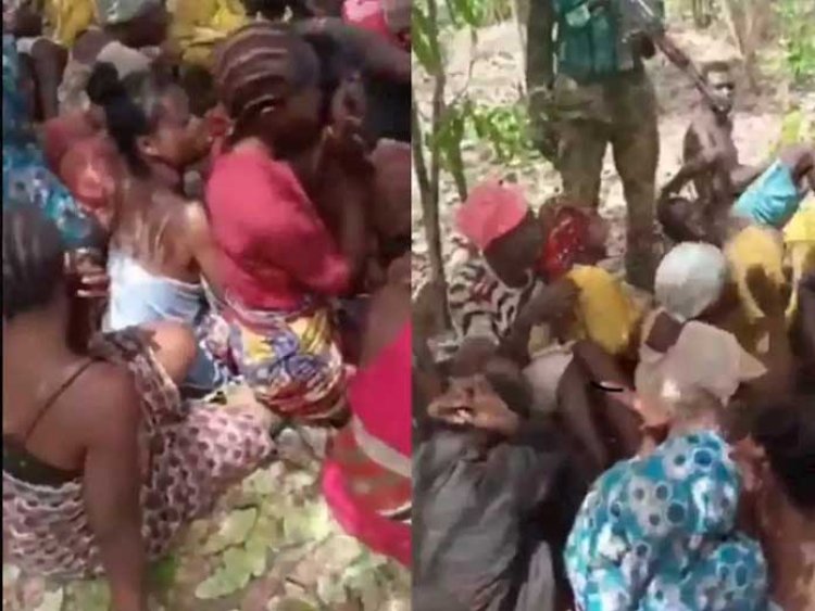 Video of 39 students, abducted from the Federal College of Forestry Mechanization in Kaduna State, emerged on Saturday.