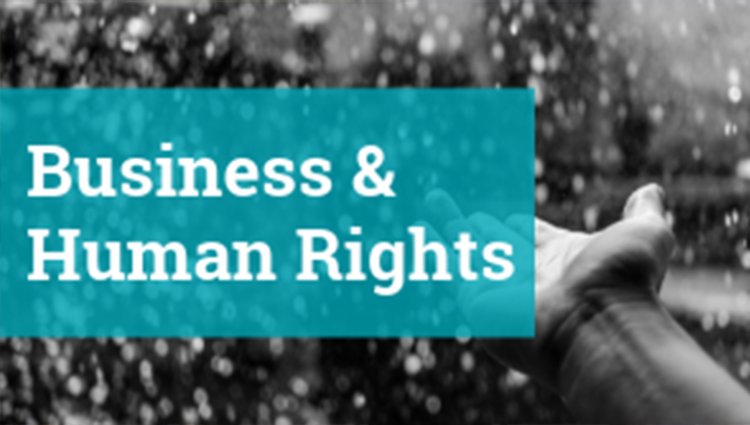 NGOs and Business-Related Human Rights at the Global Scale