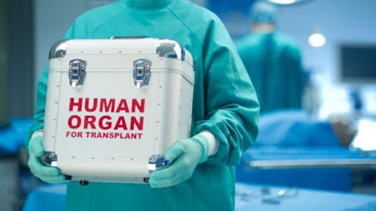 World Summit Against Forced Organ Harvesting: An Alarm to Humankind