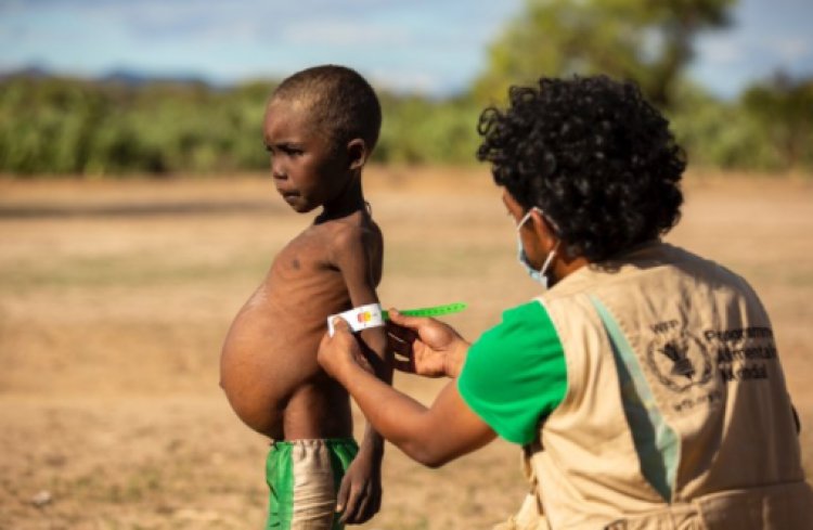 Madagascar Is On Verge Of The First Climate Induced Famine In  The World
