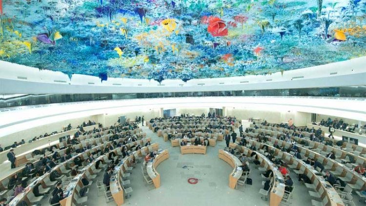 UN Human Rights Council Declares Access to a Healthy Environment a Human Right
