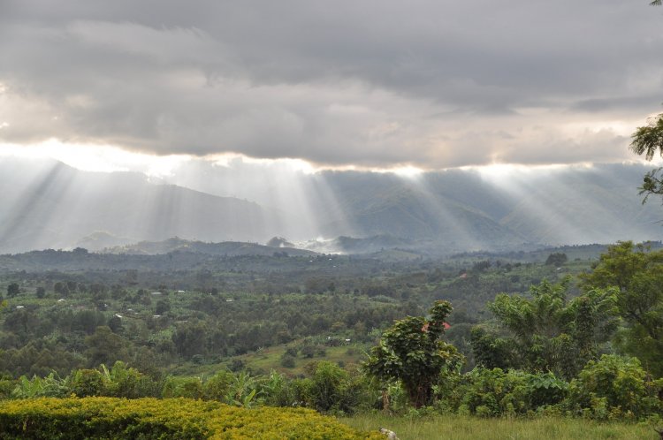 Open Letters Condemn DRC’s Removal of Environmental Protection Measures