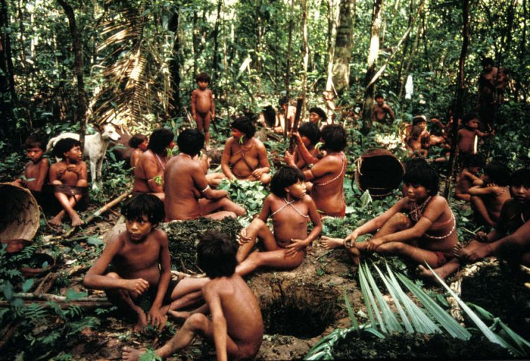 The sexual violence suffered by indigenous girls and women on Yanomami Land in Brazil