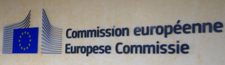The Risks of Being a Family in Cross Border Situations: the European Commission Adopts a Resolution to Protect Children’s Rights  in the EU