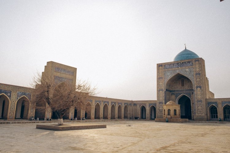 Uzbekistan approves landmark legislation criminalizing domestic violence