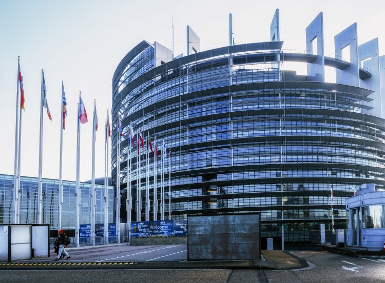 Forging an Ethical Alliance: Upholding Human Rights in the EU-India Strategic Partnership