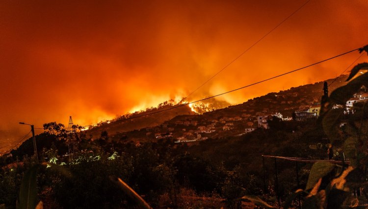 Greece Wildfires Expose Asylum Seekers' Vulnerabilities