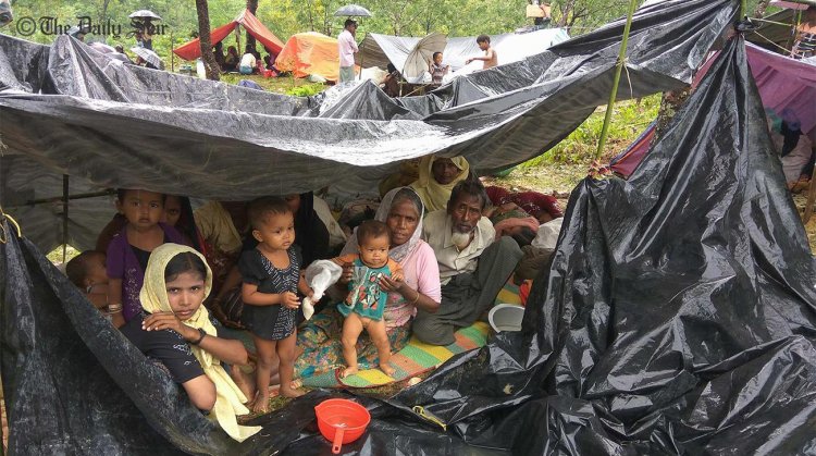 Voices in Limbo: The Unheard Desperation of Rohingya Refugees in India