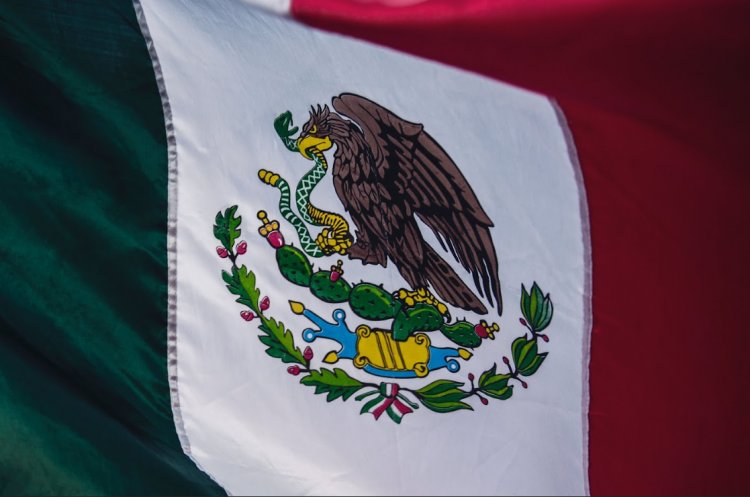 Sexual Violence Against Women, Feminicides, Forced Disappearances, and Safeguarding Journalists and Human Rights Defenders among the main concerns during Mexico´s Universal Periodic Review