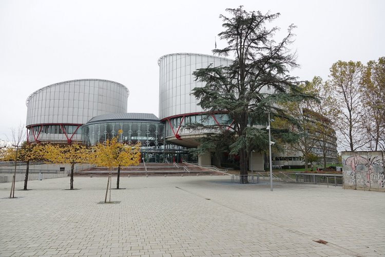 Hindrance of the Right to Individual Petition: The European Court of Human Rights Judgment of Boškoćević v Serbia